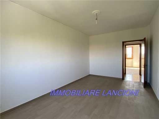  - foto 28