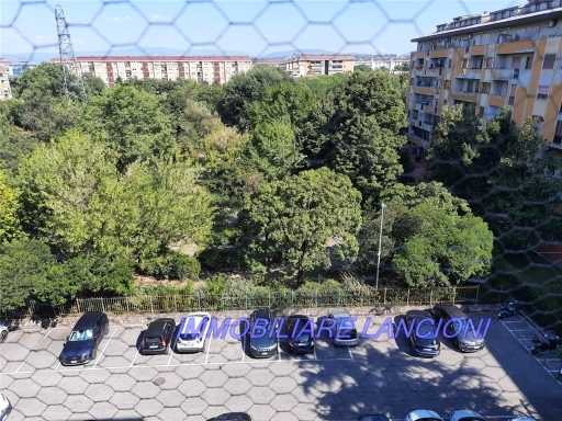  - foto 33
