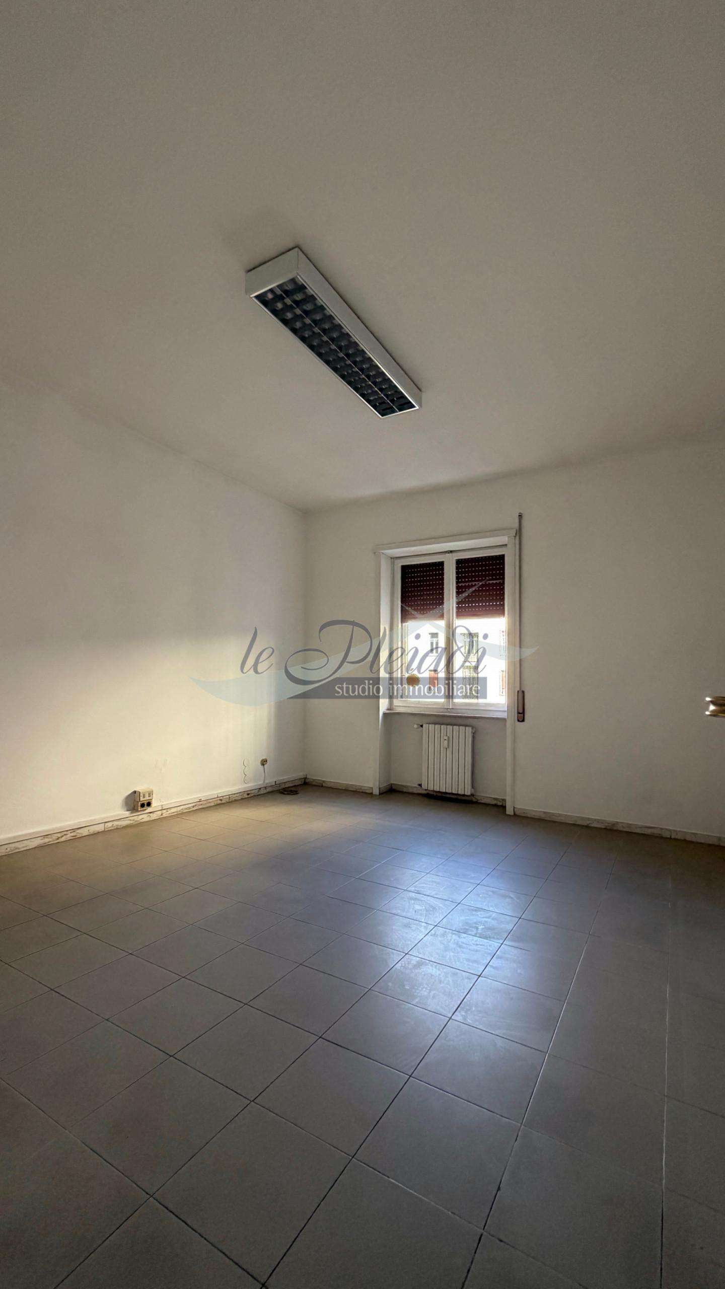  - foto 13