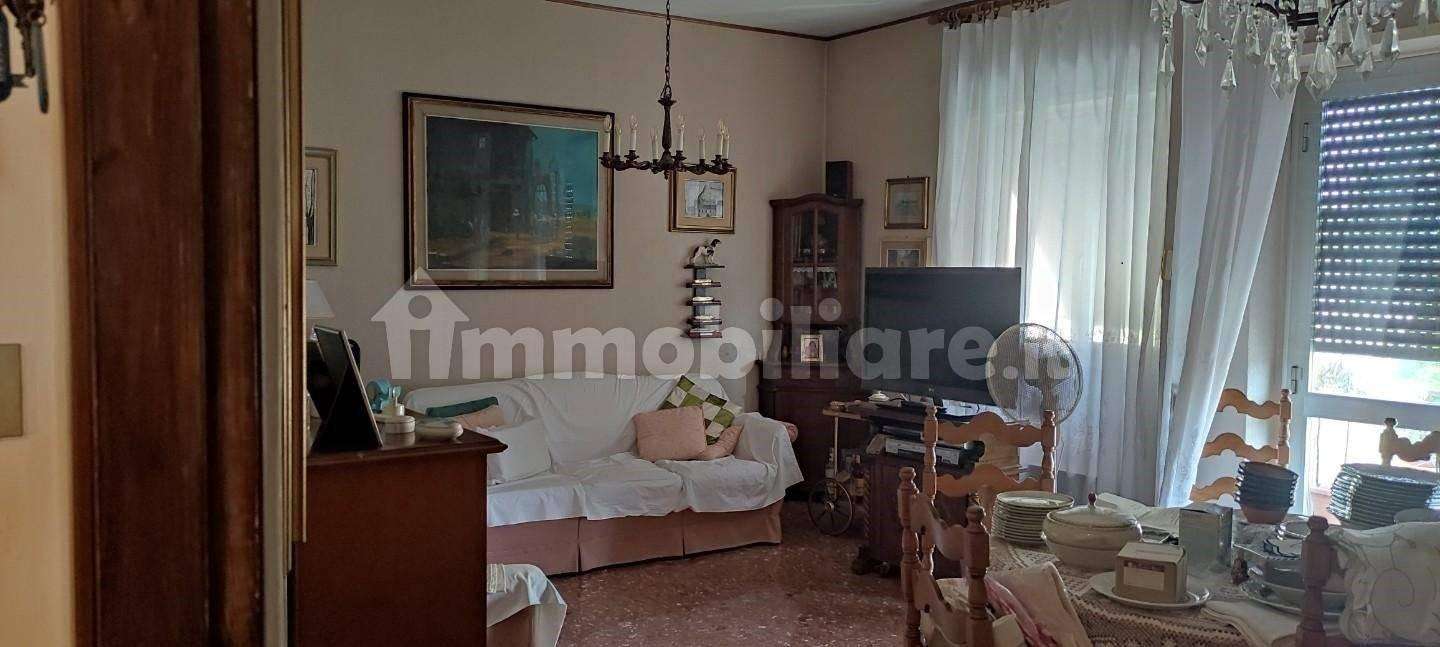  - foto 14