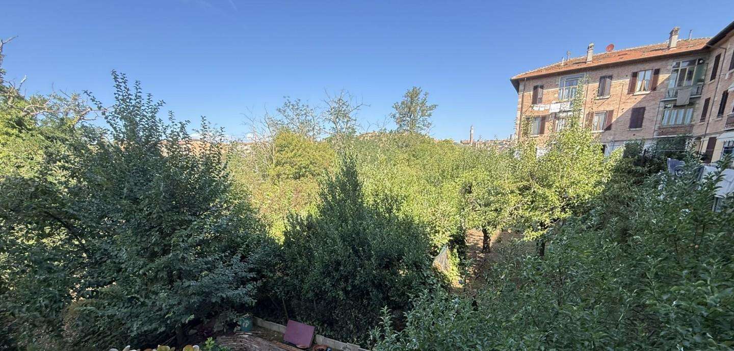  - foto 16
