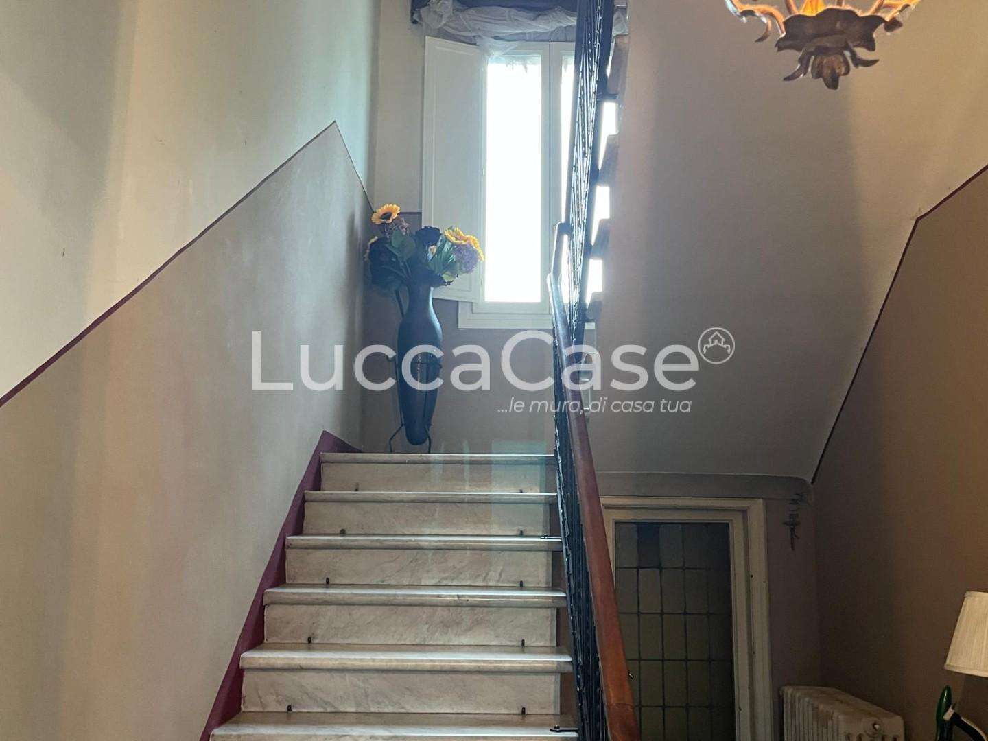  - foto 12