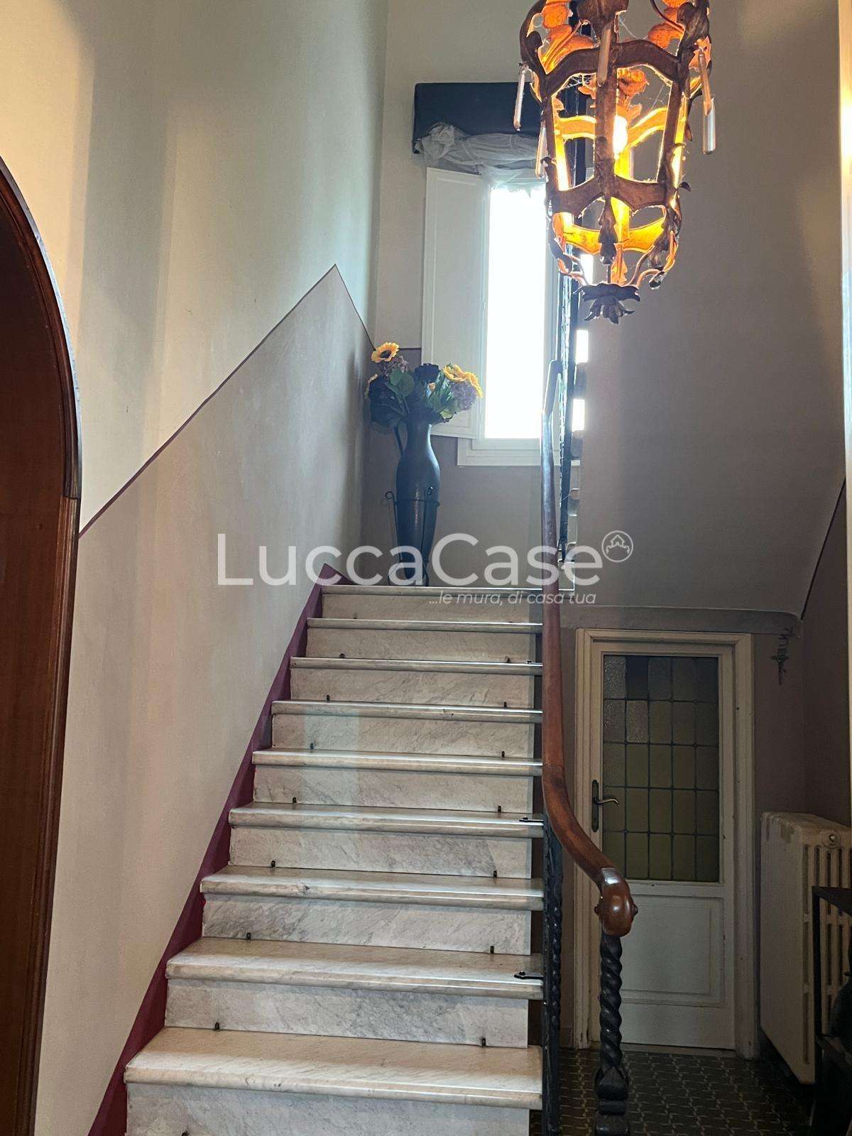  - foto 13