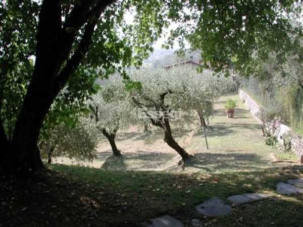  - foto 21