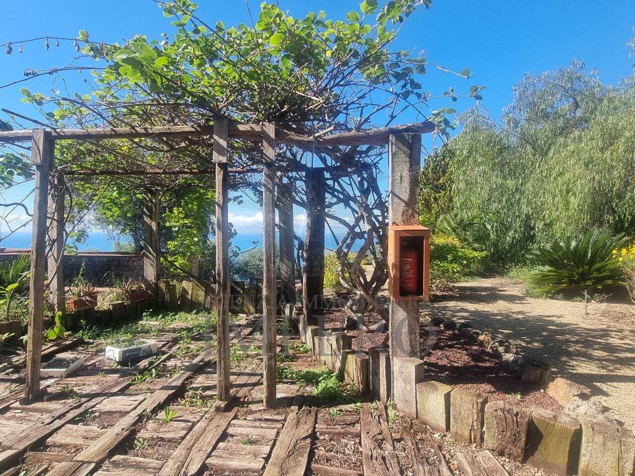  - foto 45