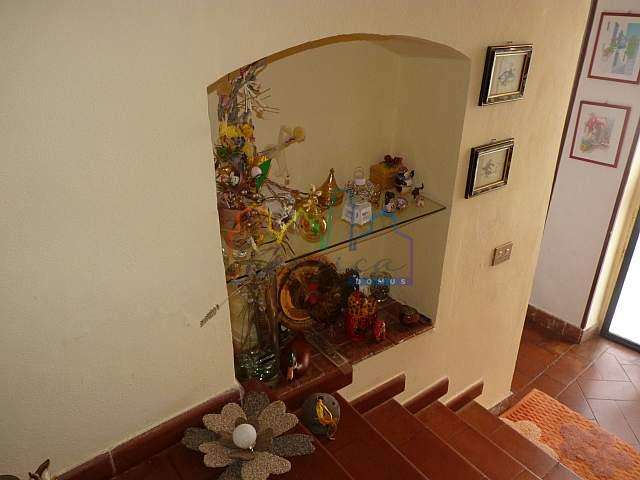  - foto 7