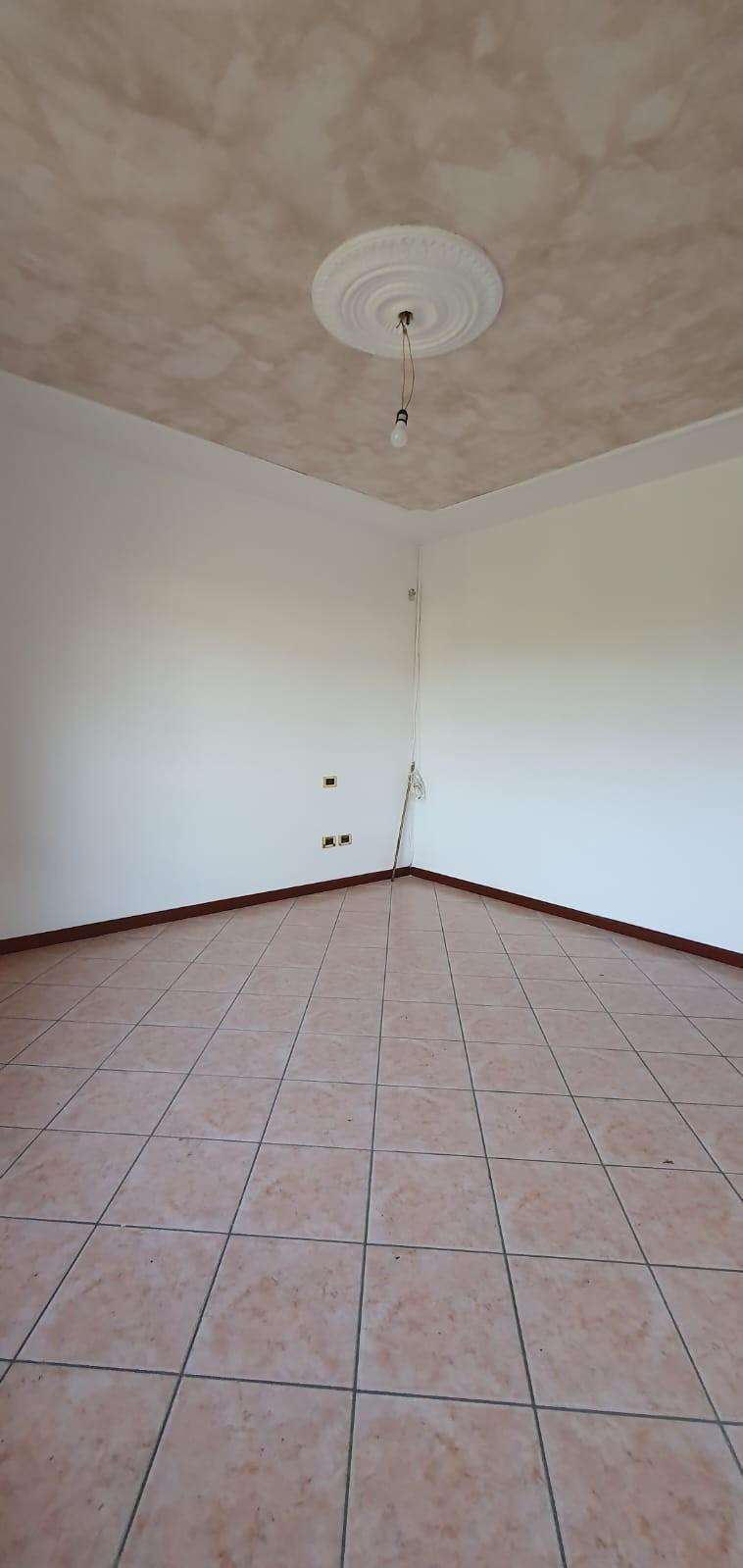  - foto 11