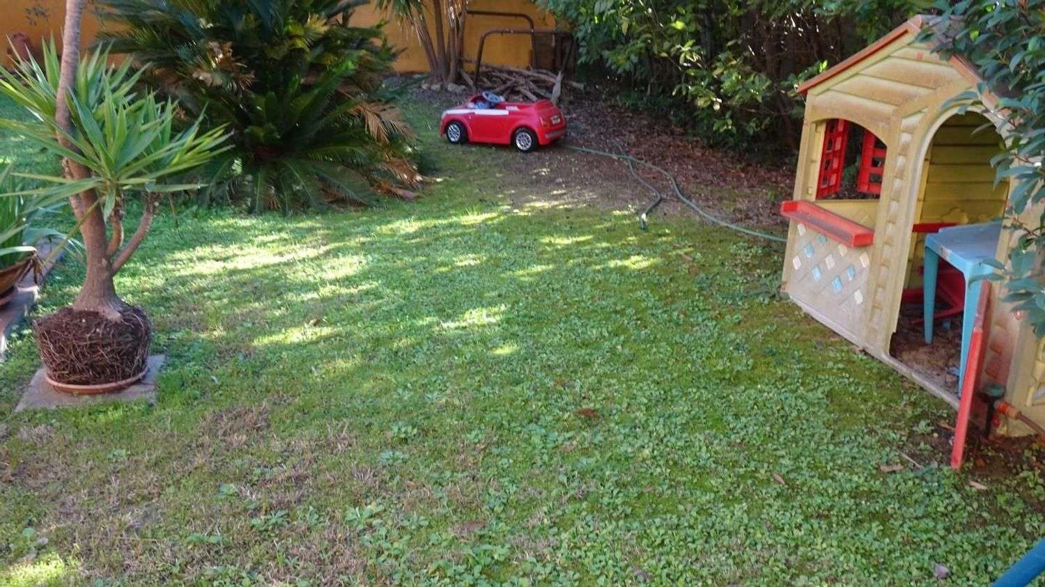  - foto 3