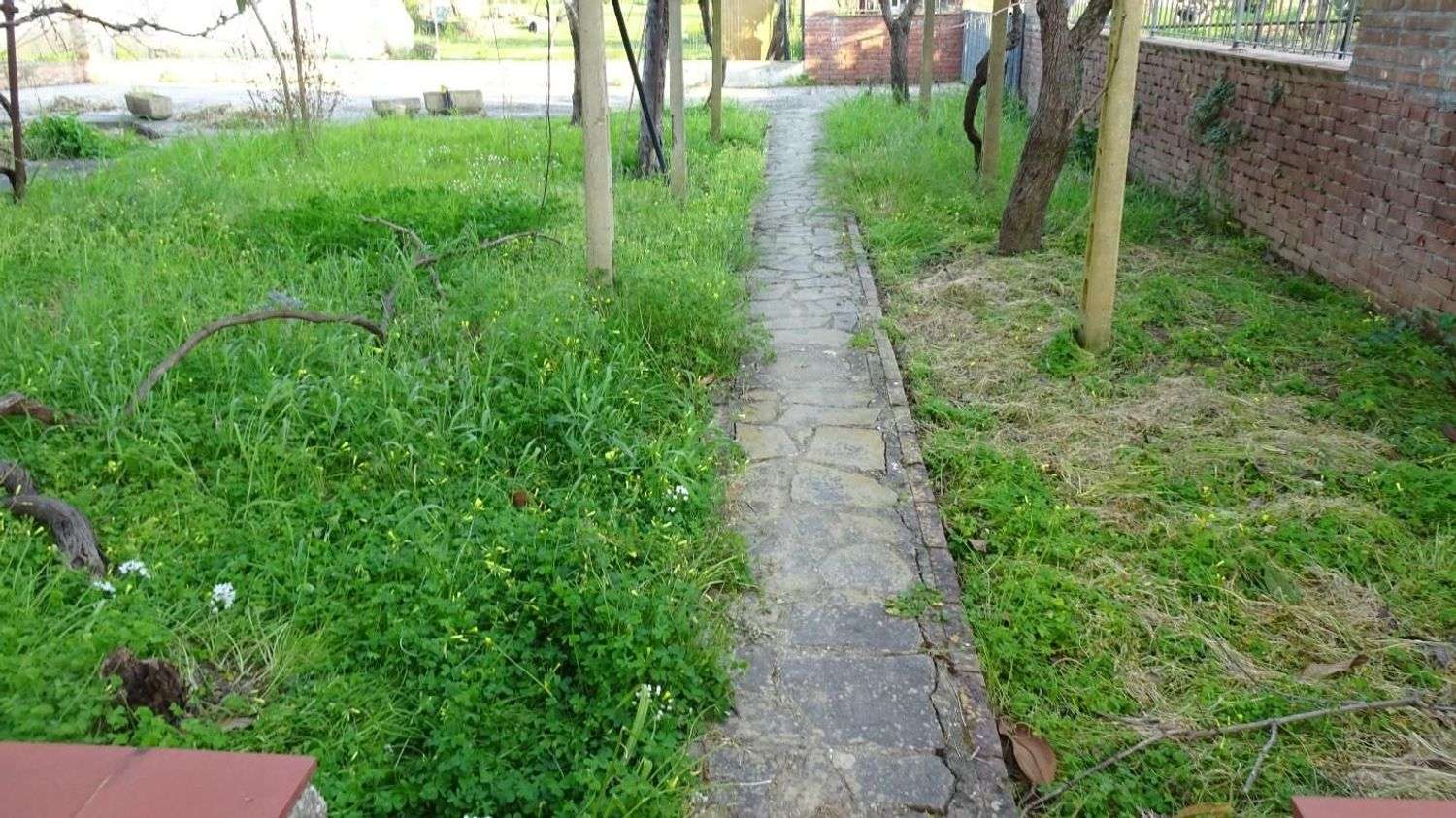  - foto 10