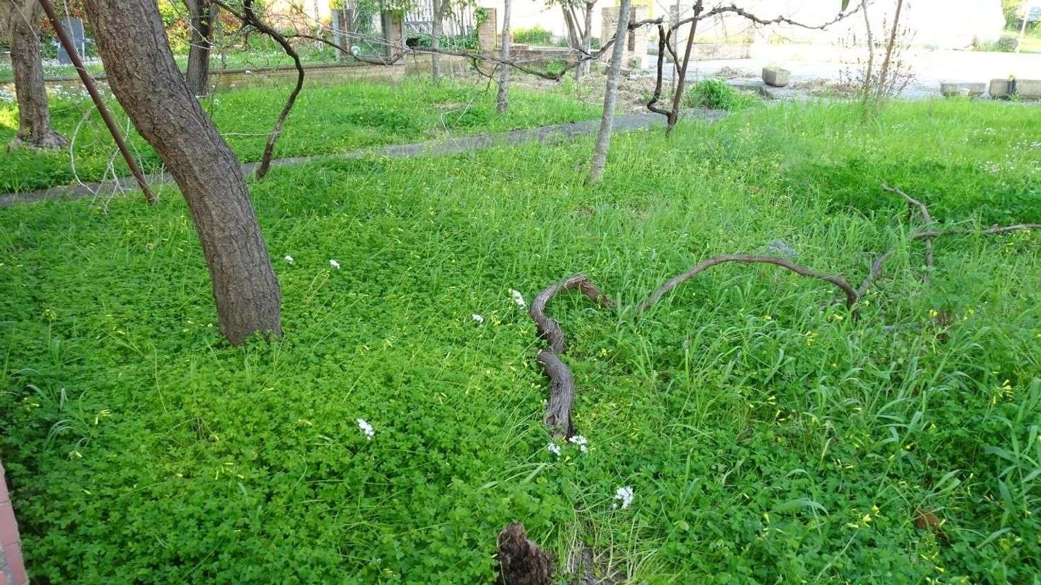  - foto 11
