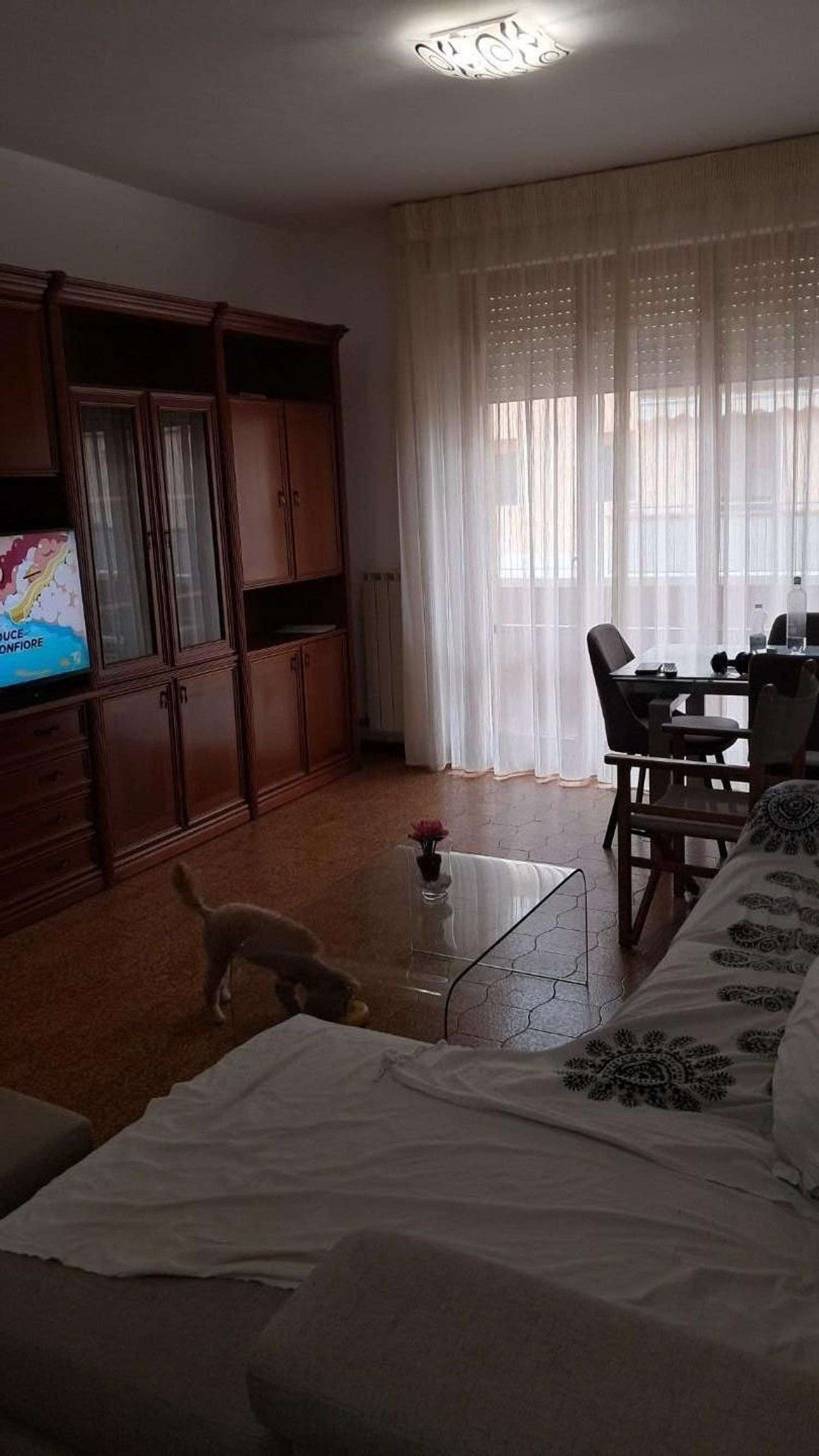  - foto 4