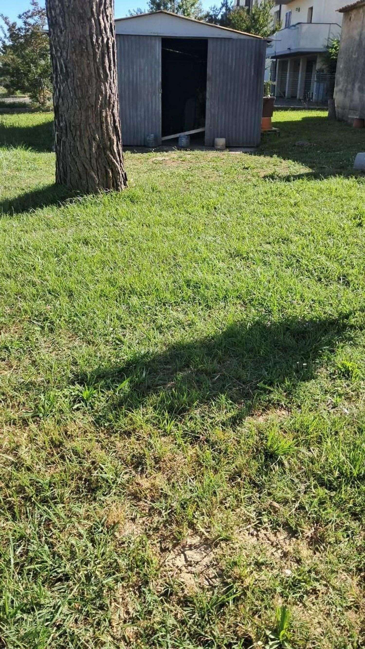 - foto 12