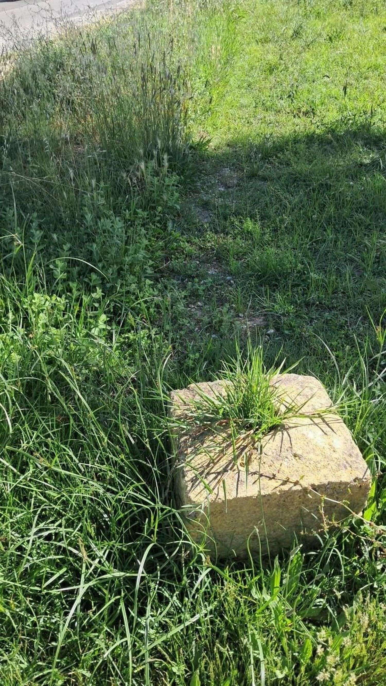  - foto 13
