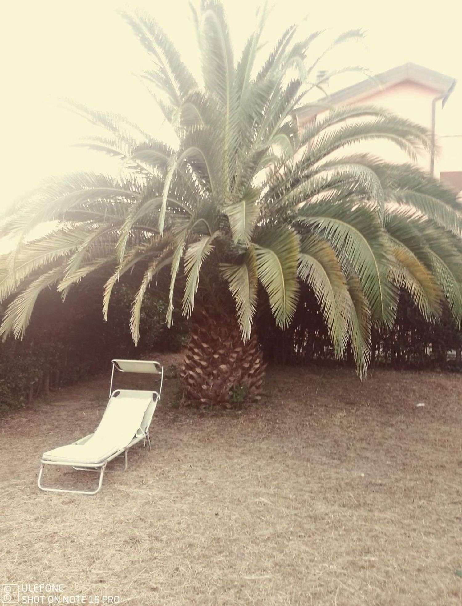 Villetta a schiera Daniele Manin, 56012, Calcinaia