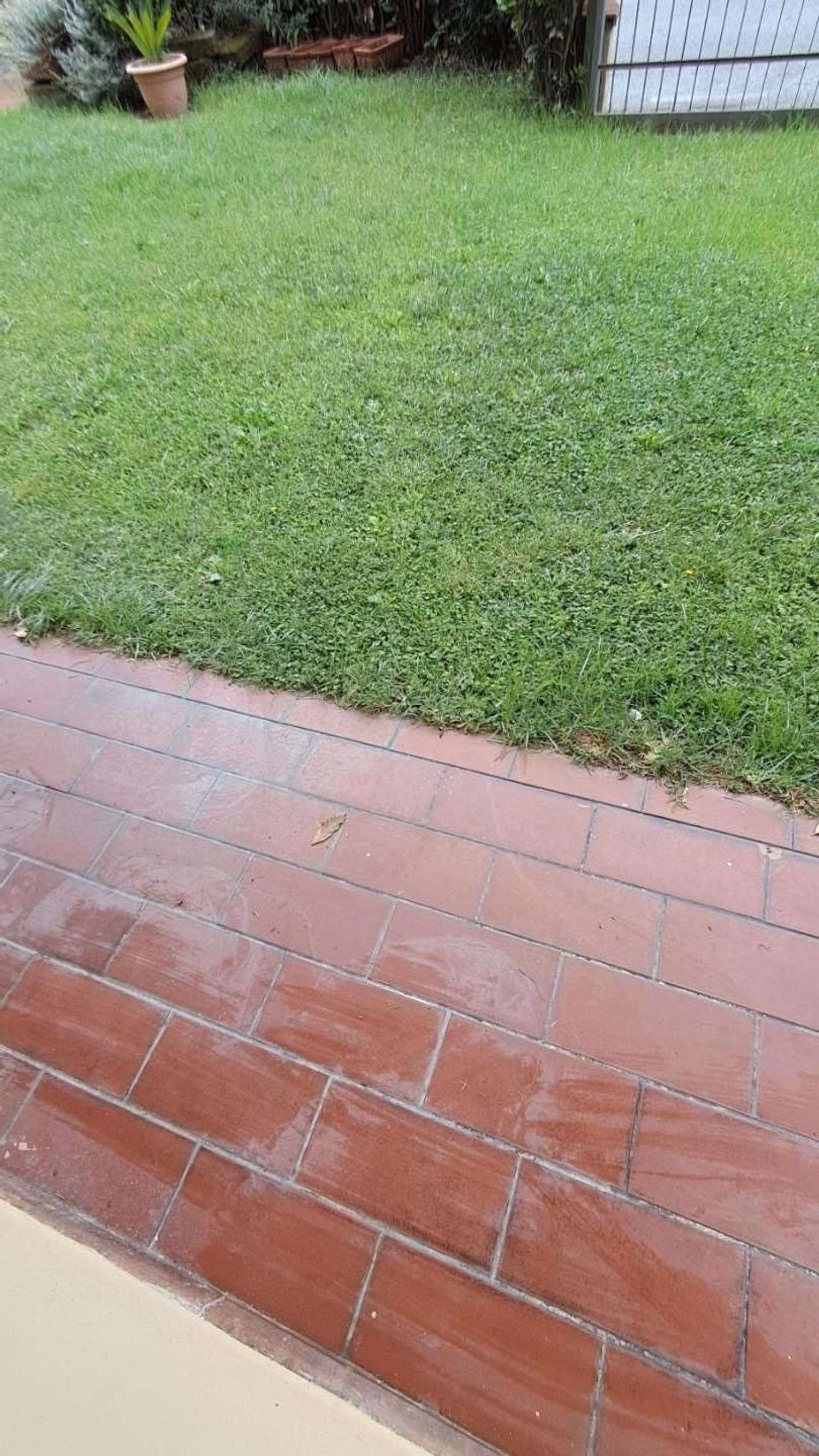  - foto 15