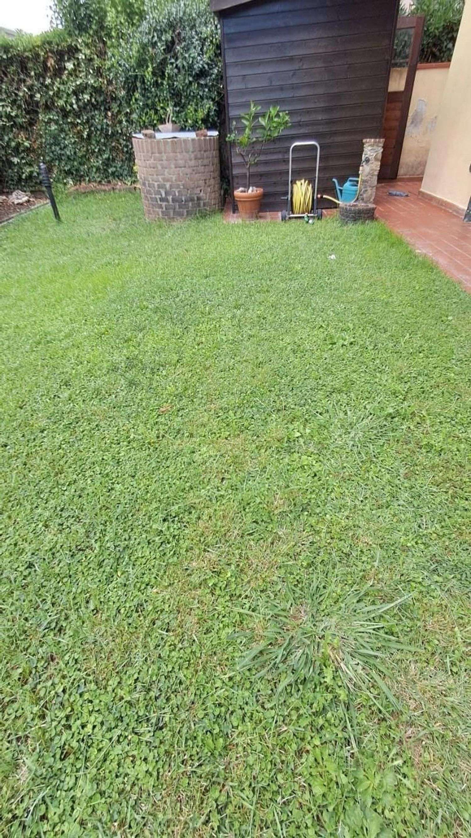  - foto 18