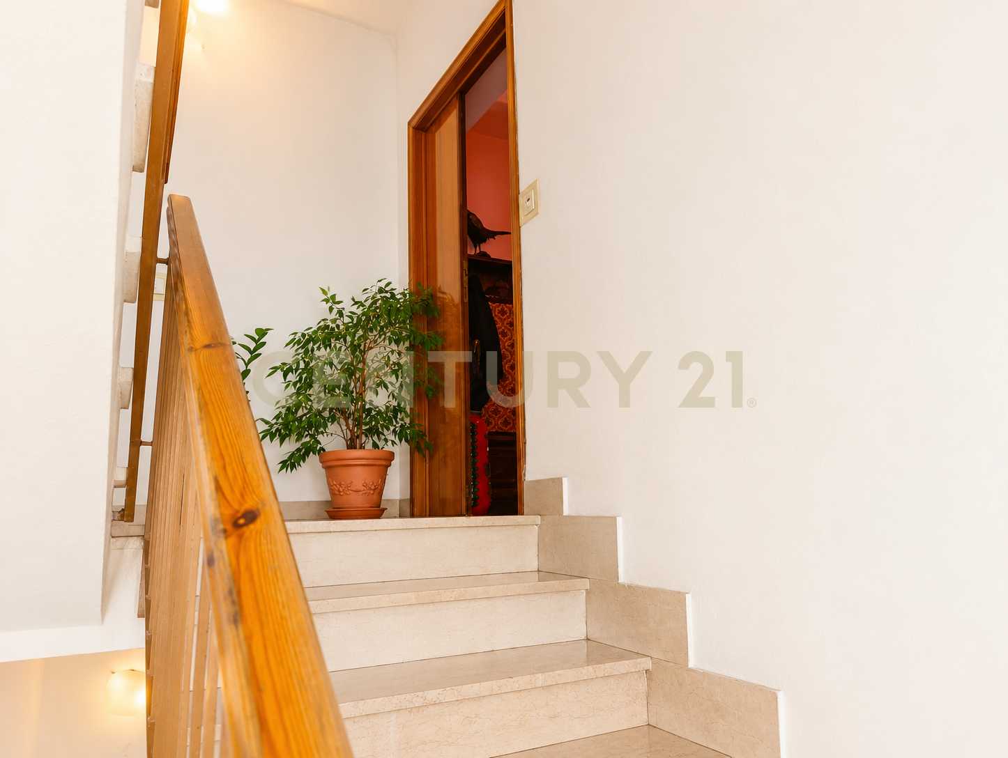  - foto 33