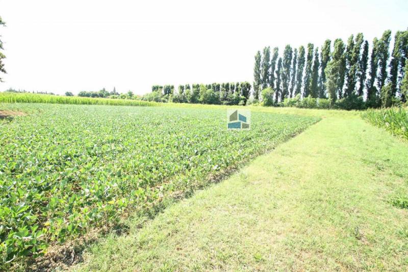 Terreno agricolo Stigliano, Santa Maria di Sala