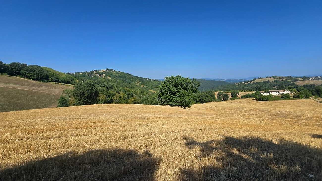  - foto 36