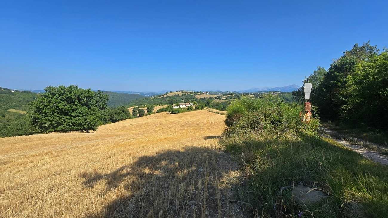  - foto 42