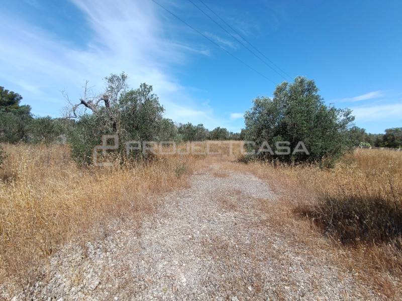 Terreno agricolo, Melpignano