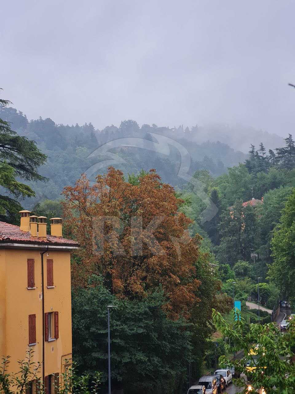  - foto 31
