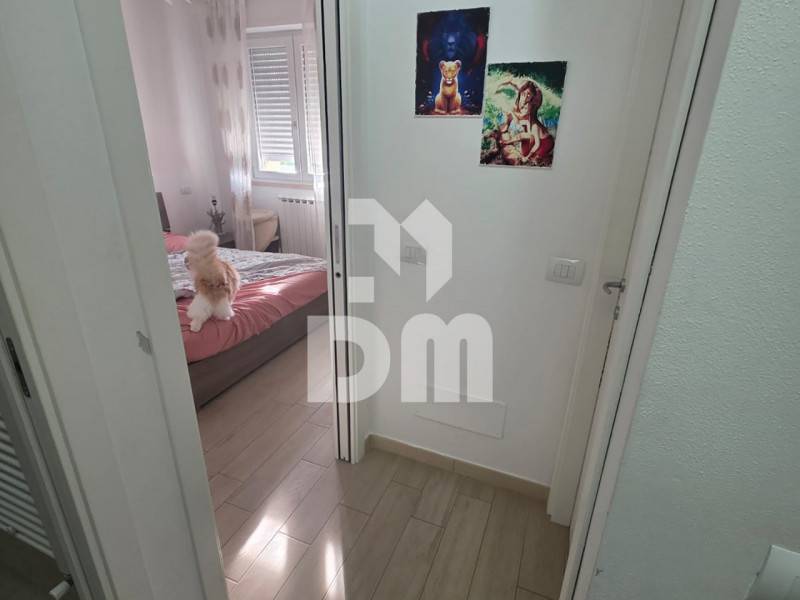  - foto 6