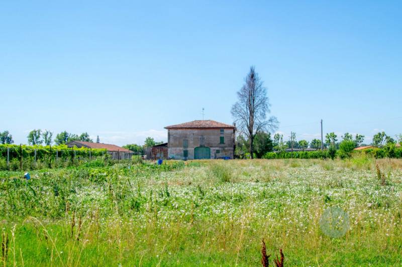 Rustico Limidi, Soliera