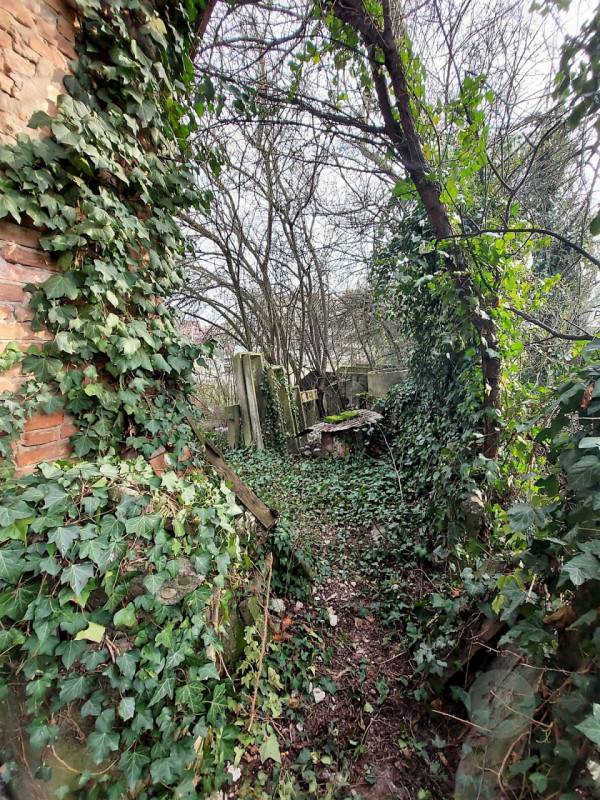  - foto 3