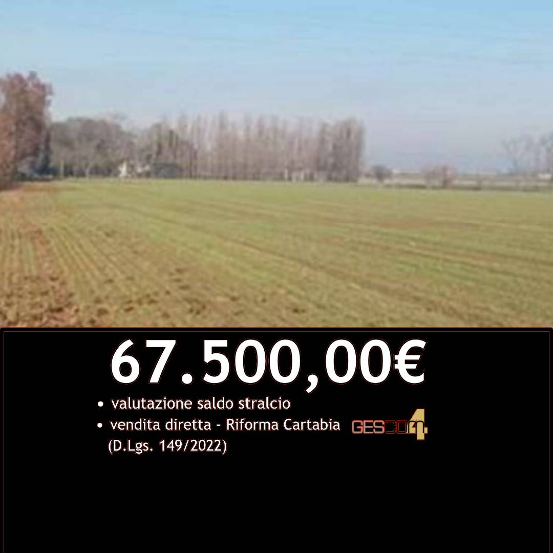 Terreno agricolo Brancon, Nogara