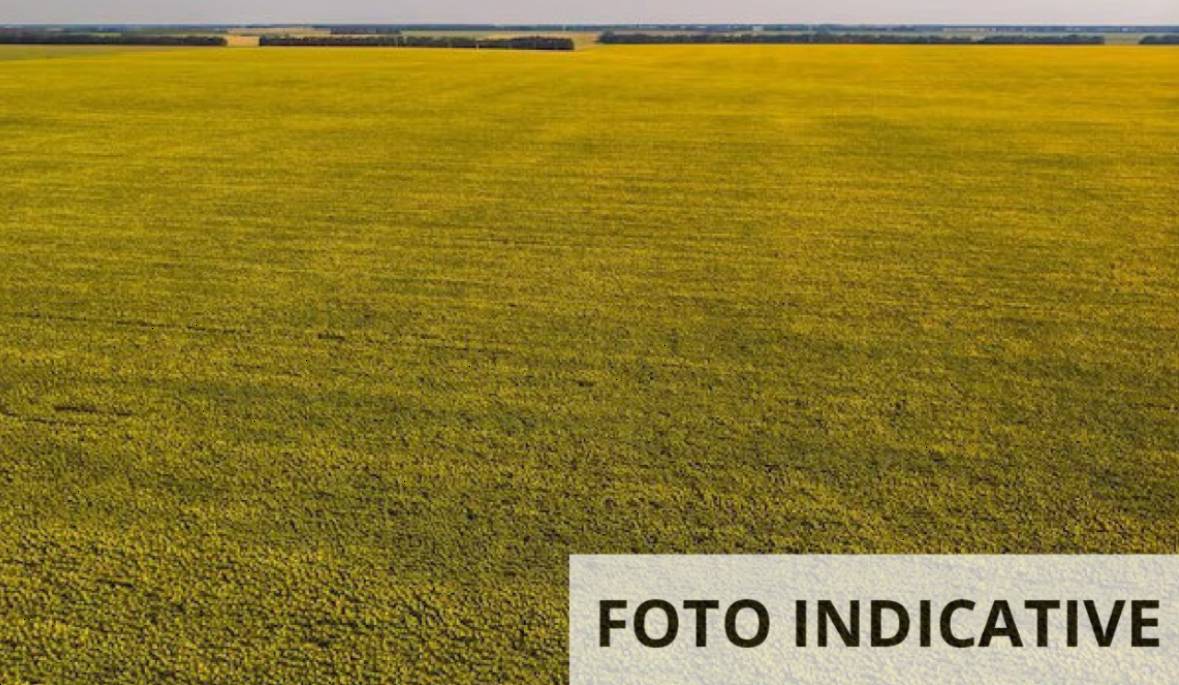  - foto 6