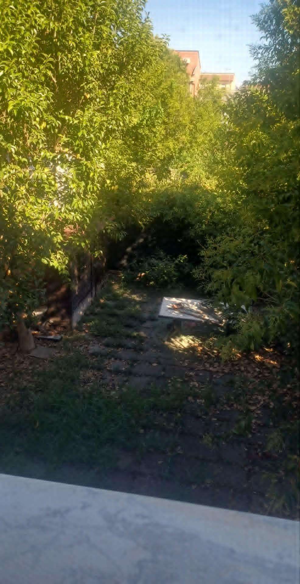  - foto 11