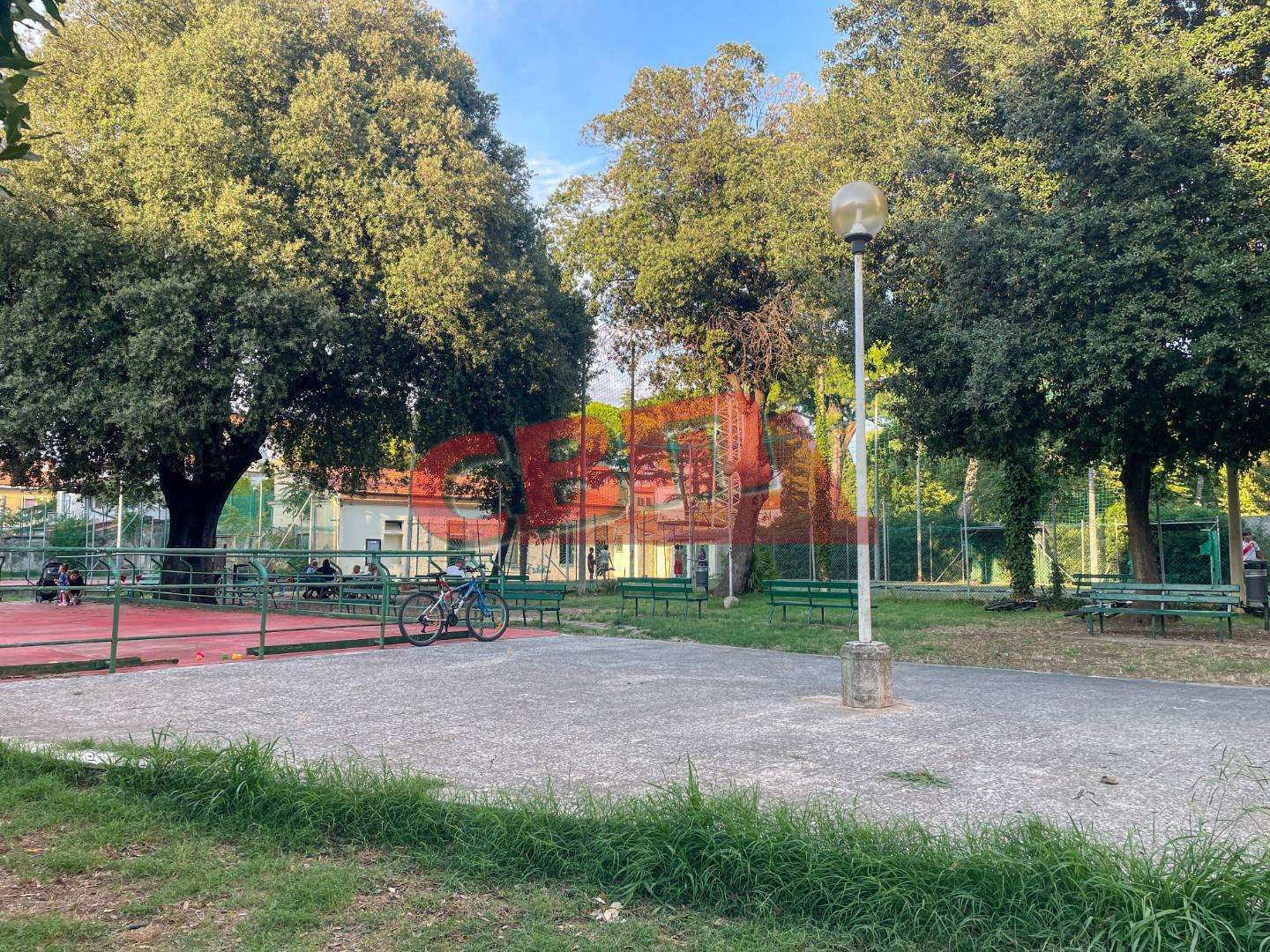  - foto 23
