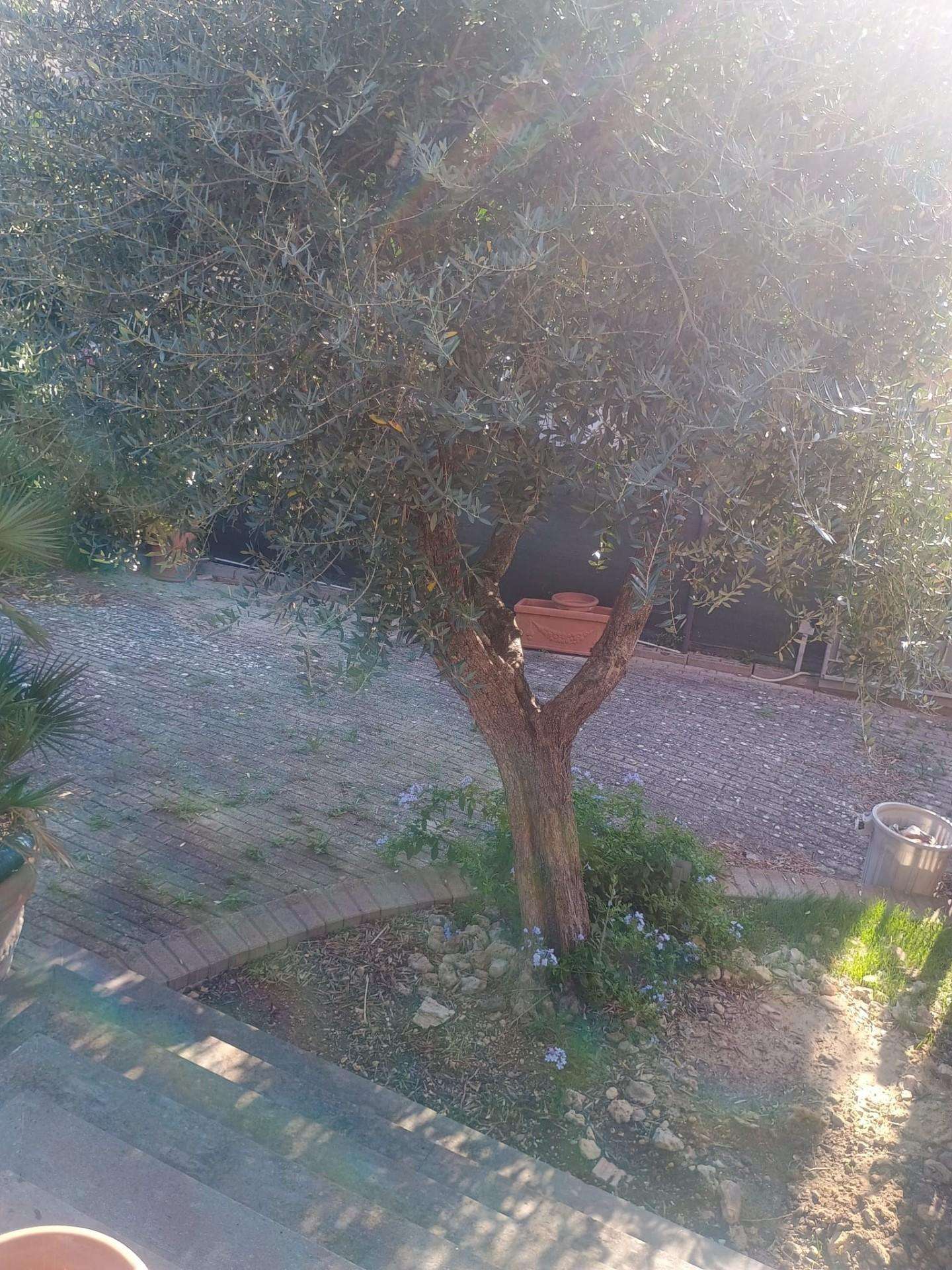  - foto 16