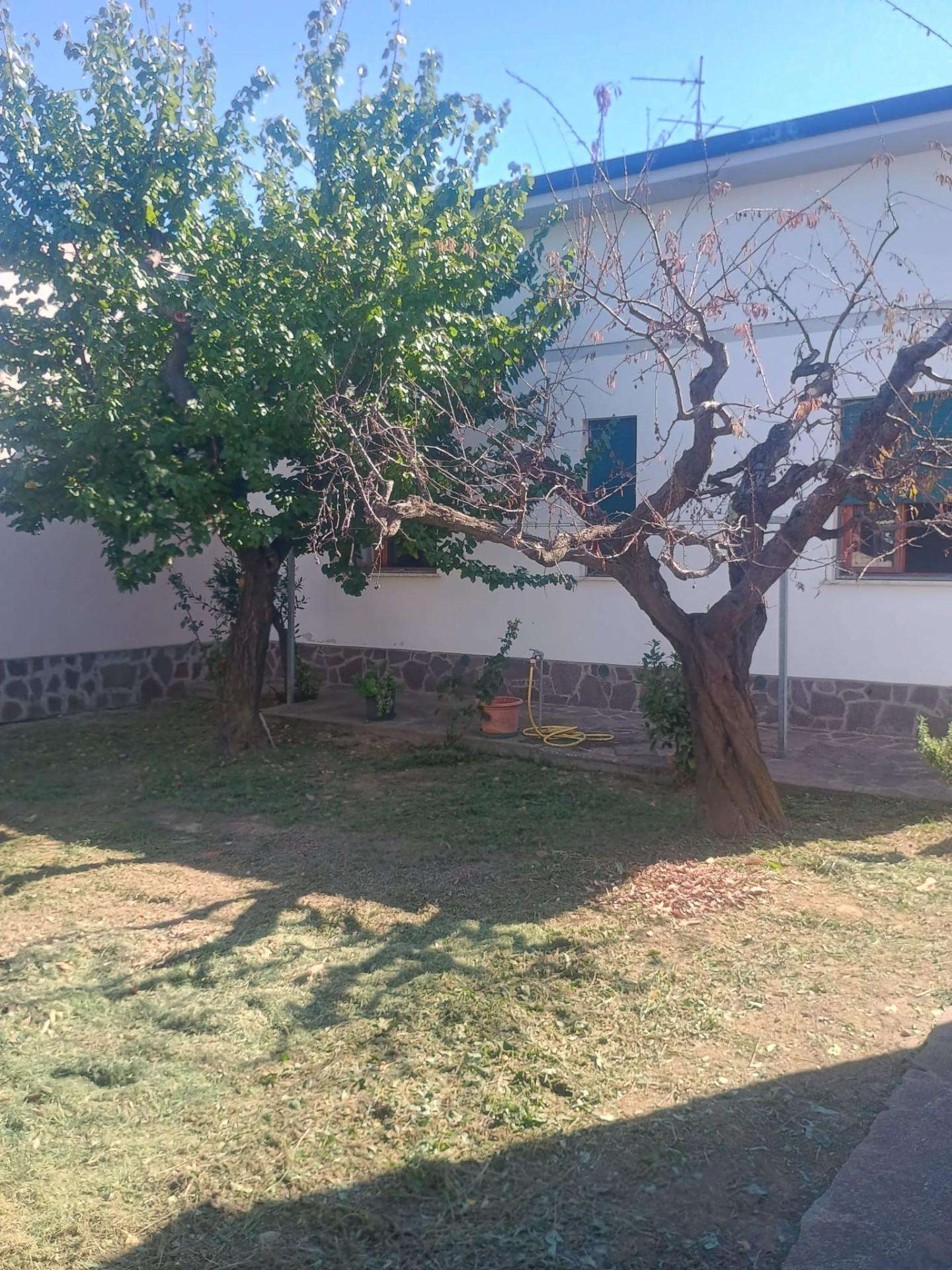  - foto 6