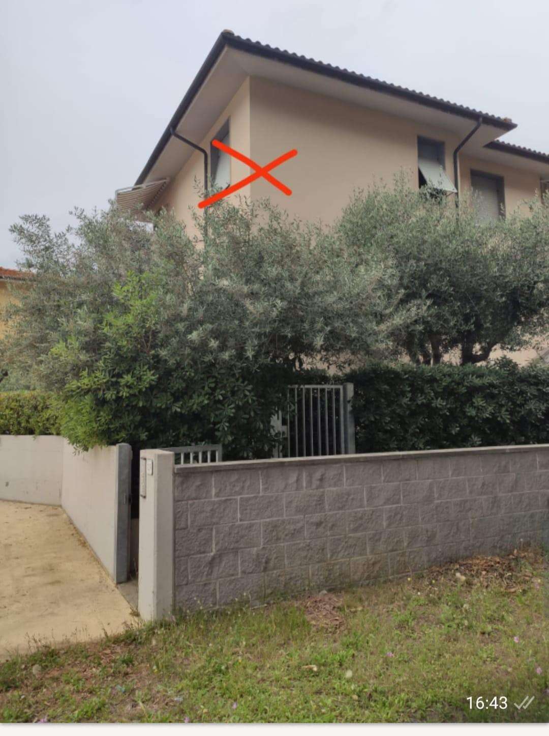  - foto 2
