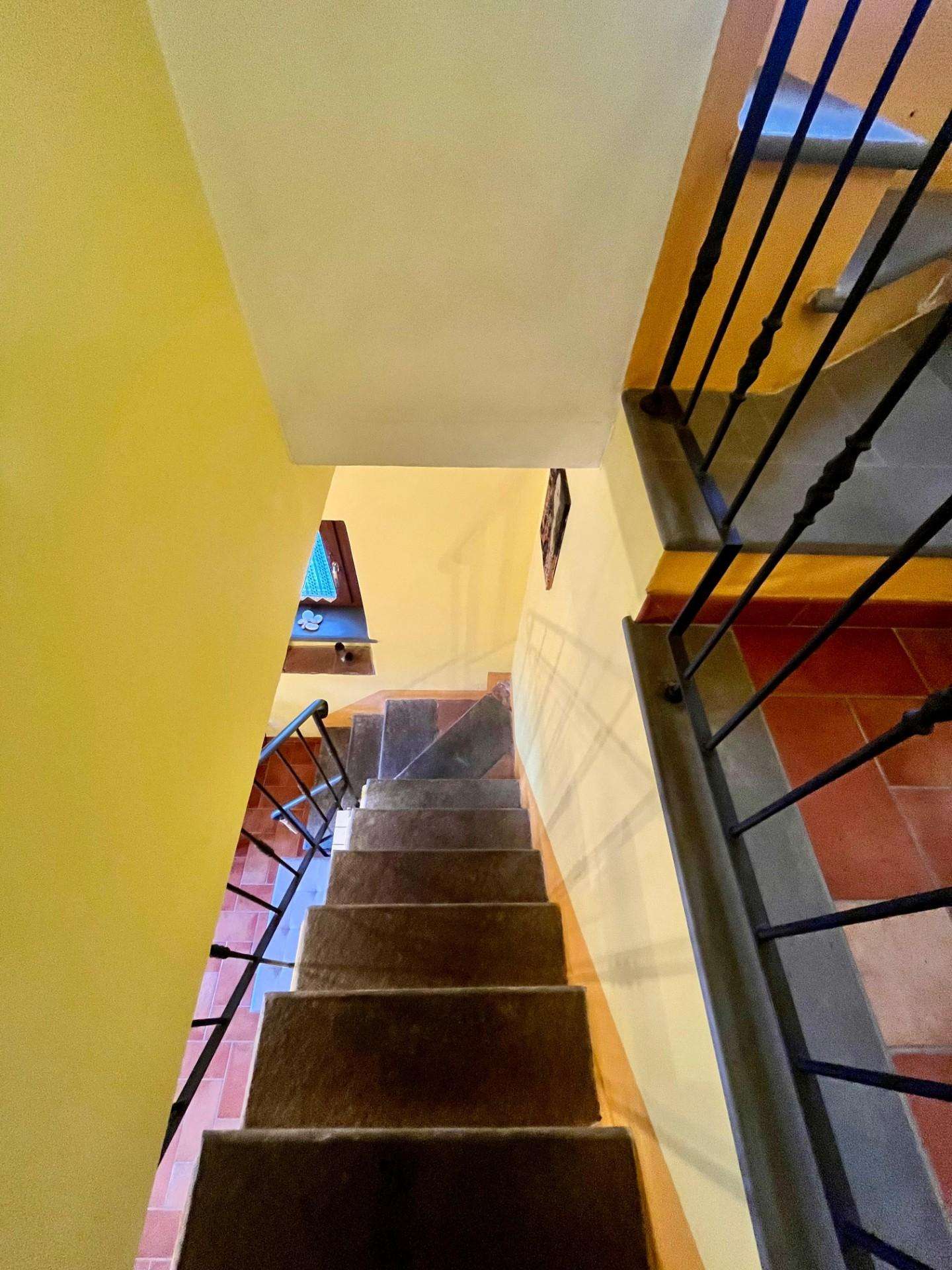  - foto 15