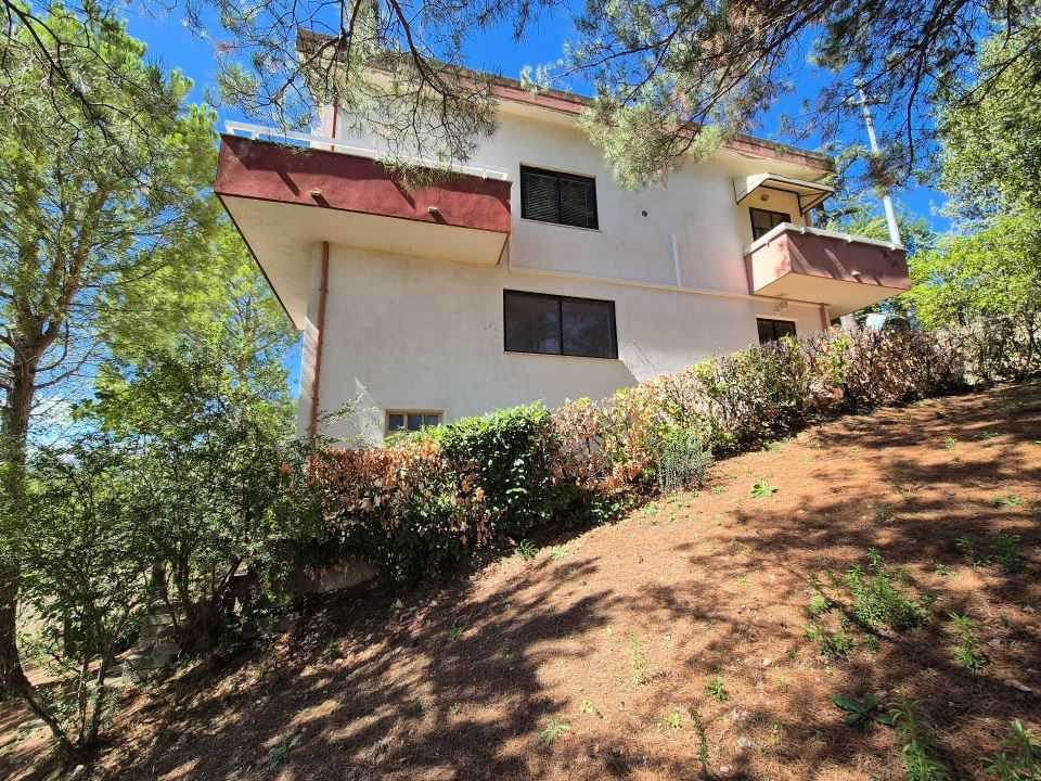  - foto 5