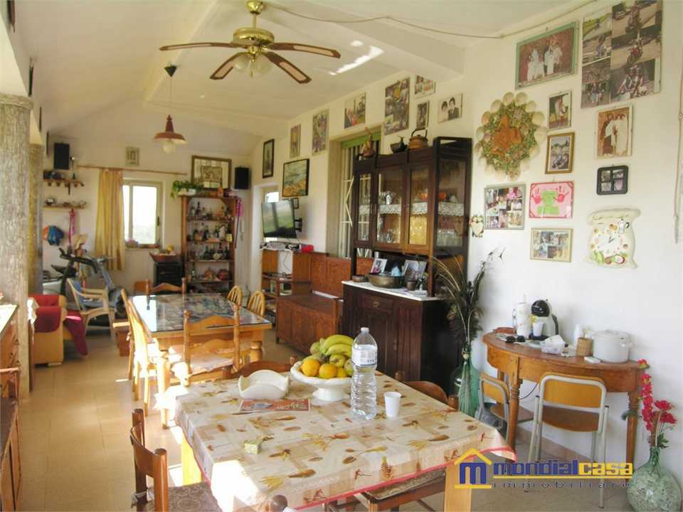  - foto 4
