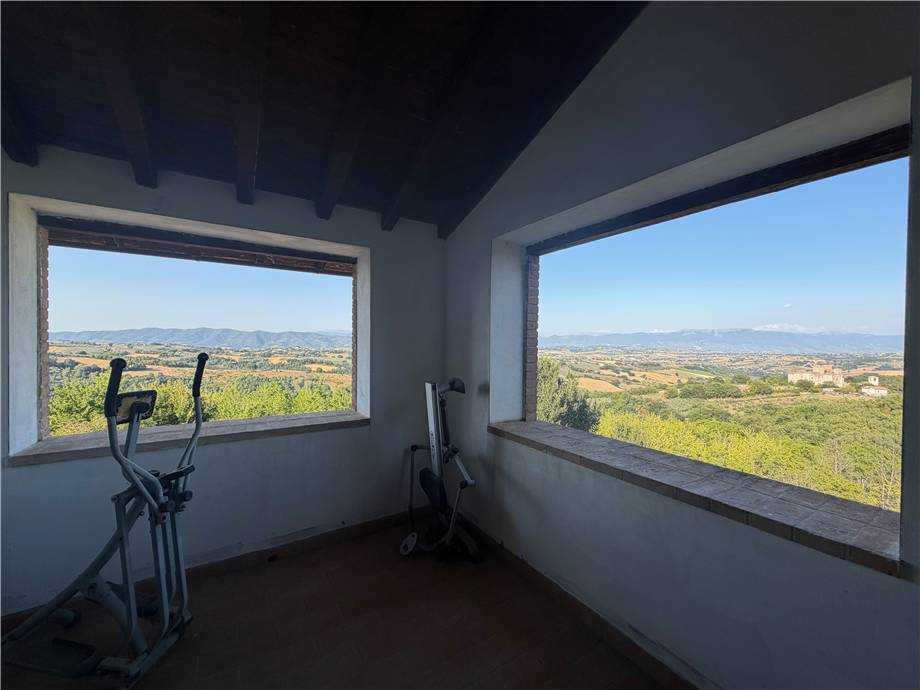  - foto 28