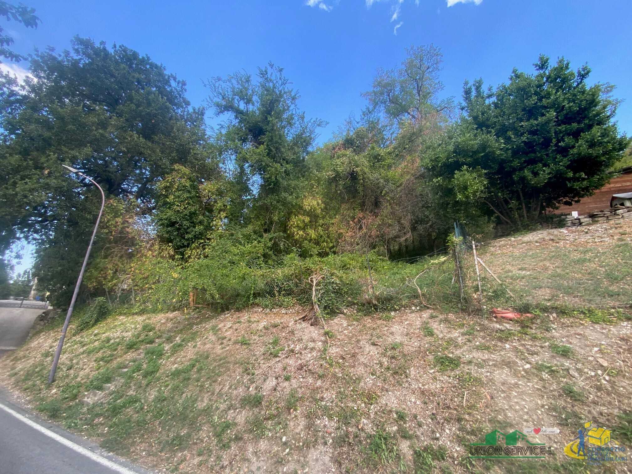  - foto 23