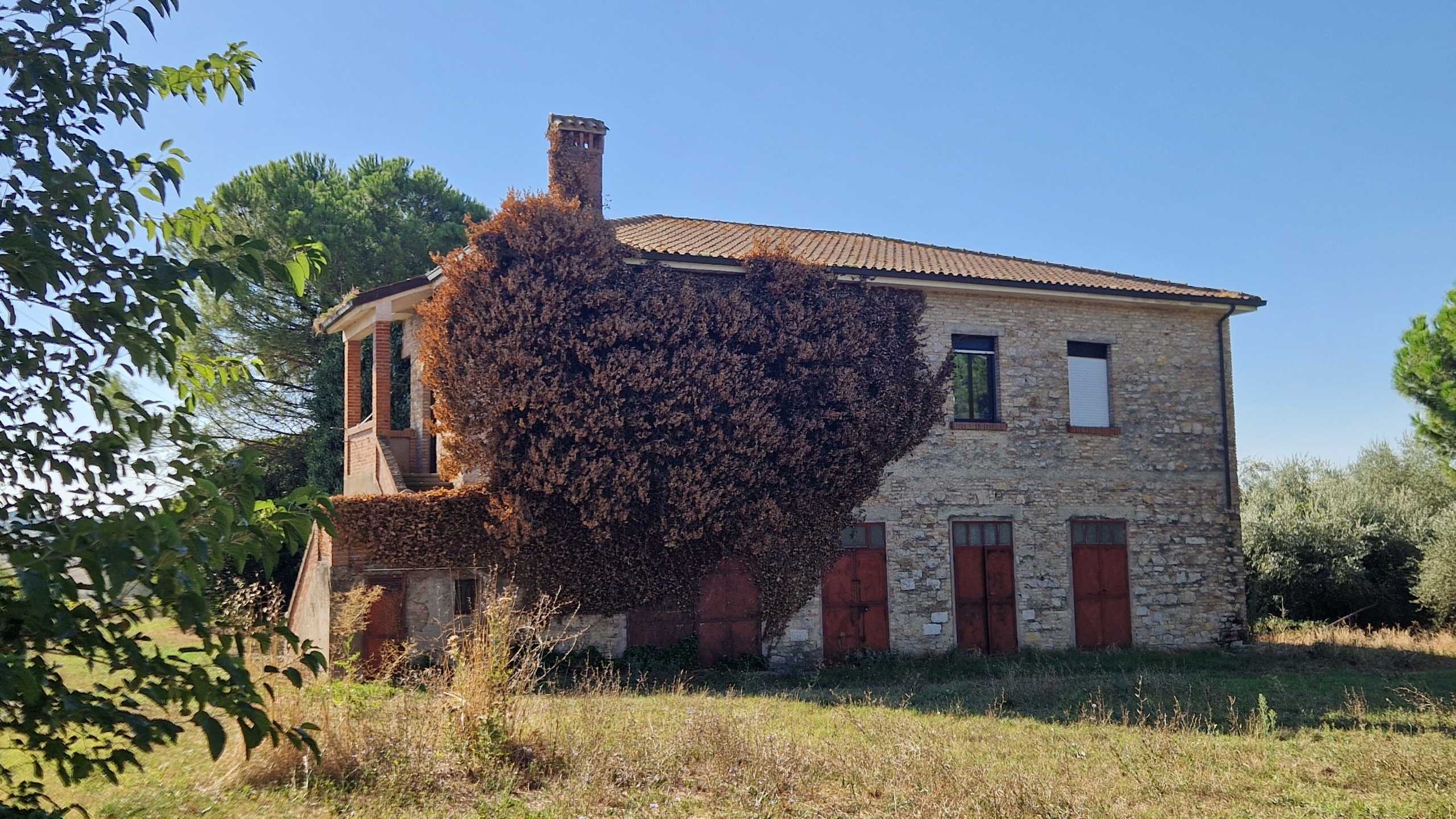 - foto 16
