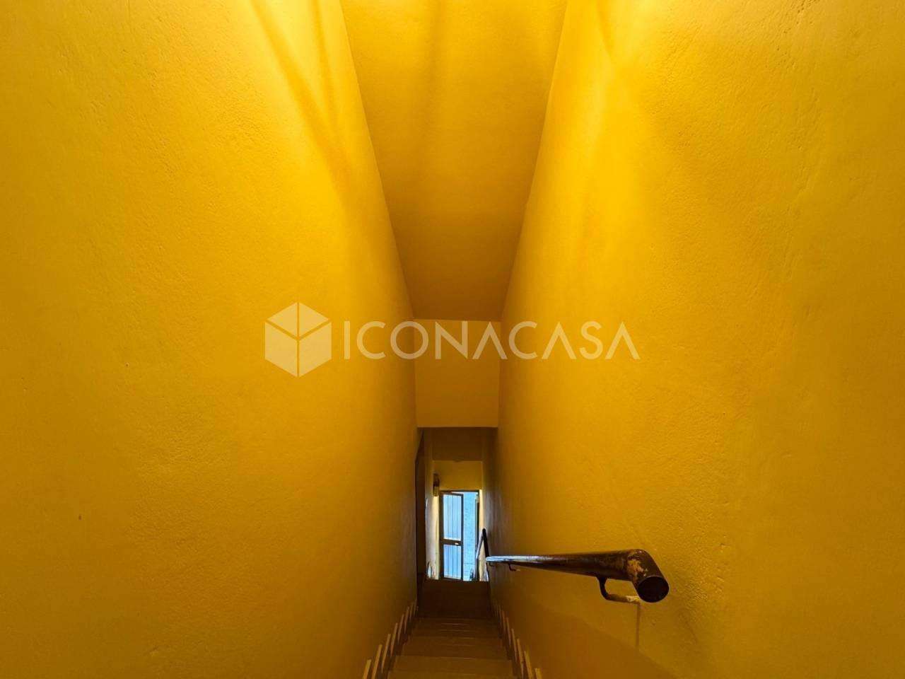  - foto 15