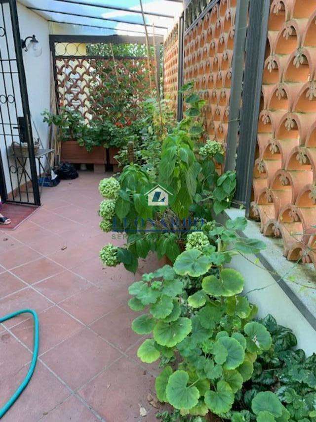  - foto 7