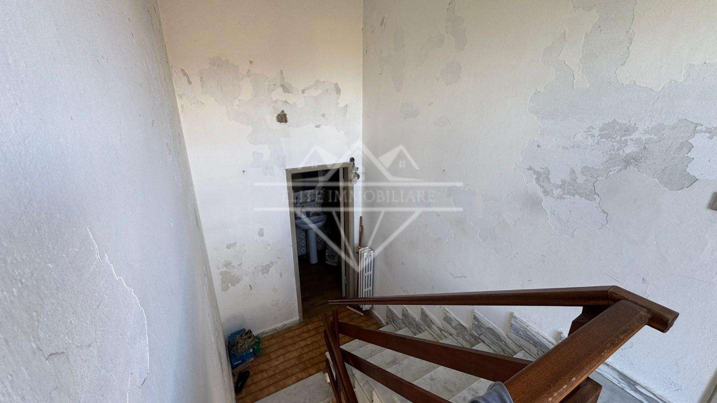  - foto 14