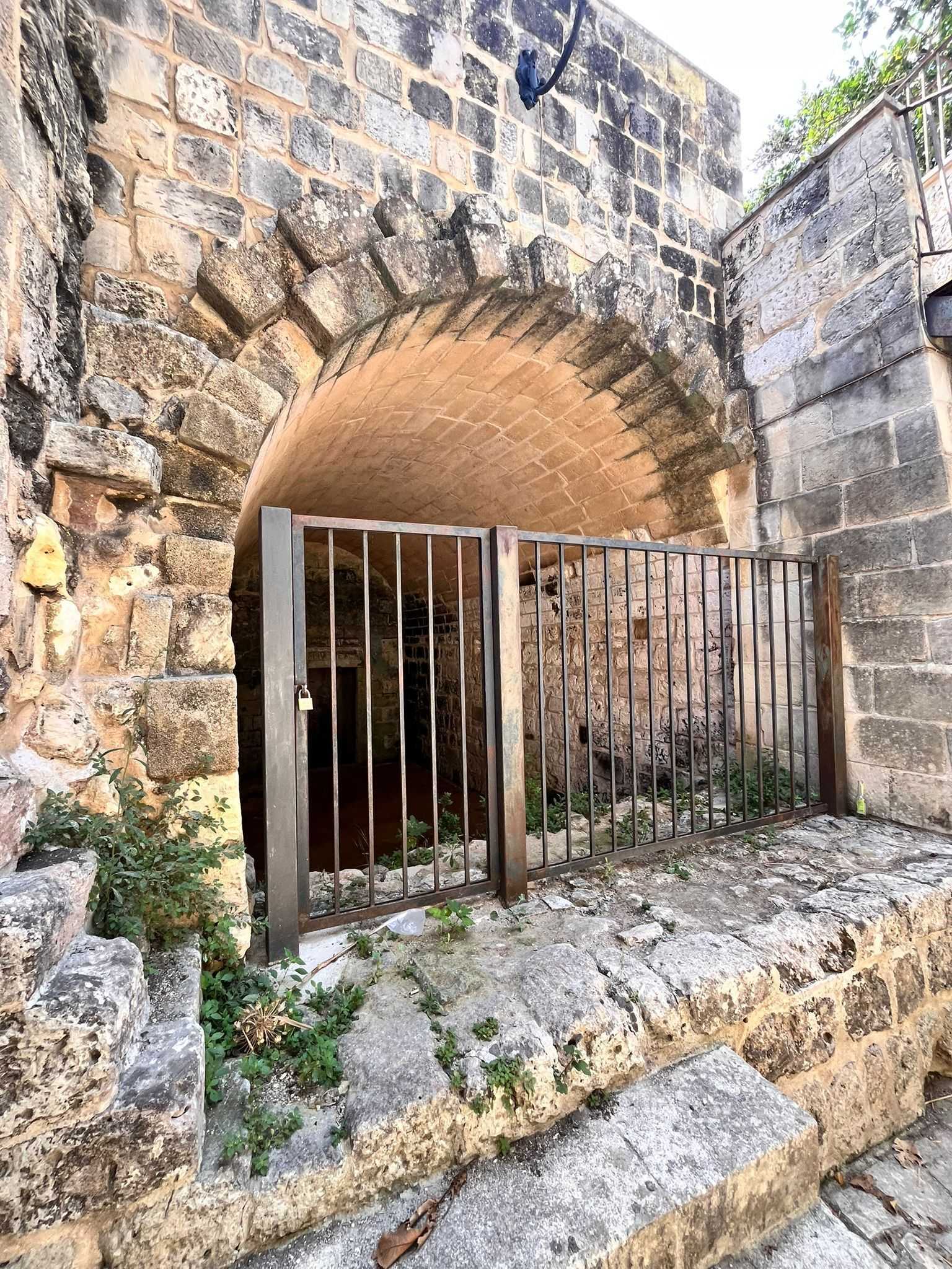  - foto 31