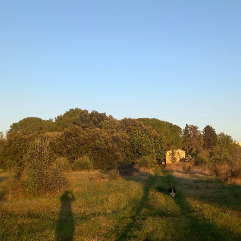  - foto 2