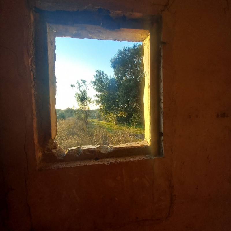  - foto 7