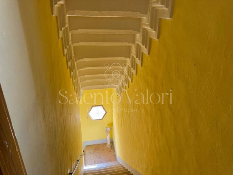  - foto 8