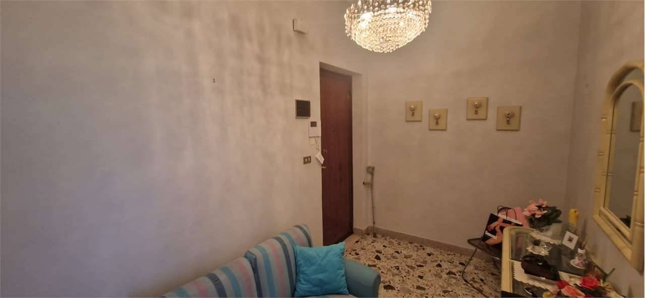  - foto 7